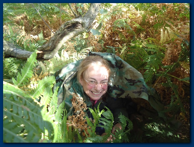 600x449 pixels (178K)